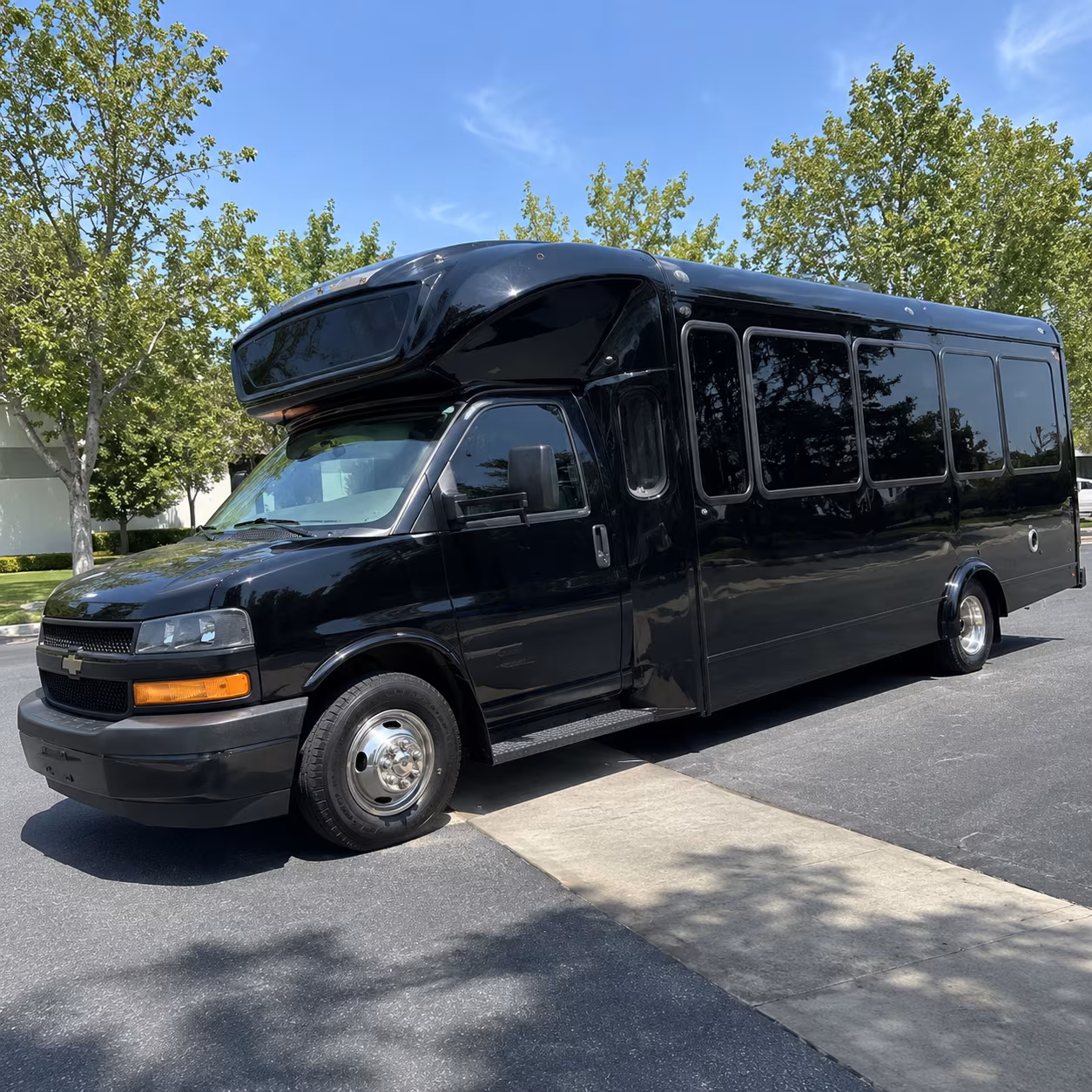 15 Passenger Party Bus