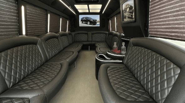 25 passenger party bus interior