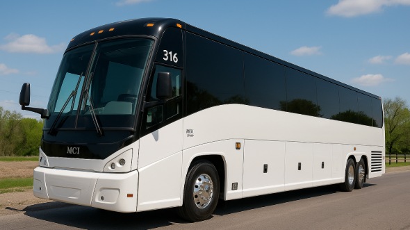 eagan bachelor and bachelorette party bus rentals