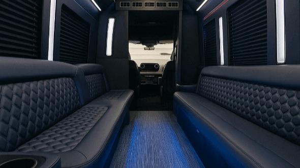 minneapolis 50 passenger party bus rental