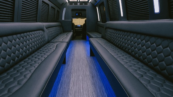 minneapolis party bus rentals