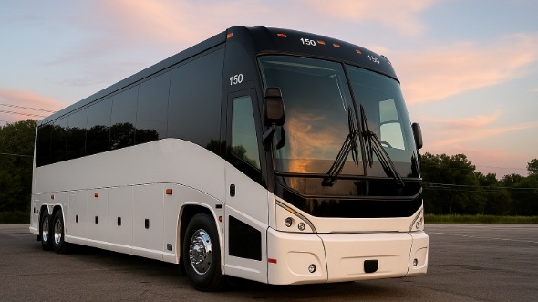 st paul bachelor and bachelorette party bus rentals
